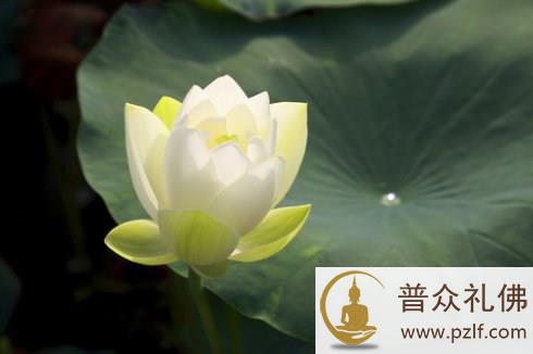 利他不图回报,有时会有意想不到的收获