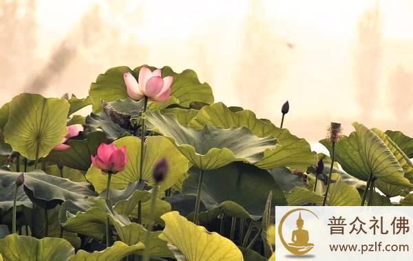 世间荣华富贵,哪比得上菩提大道