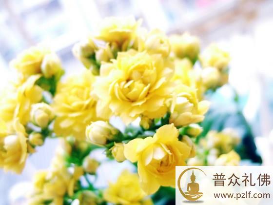 众生易度人难度,宁度众生不度人