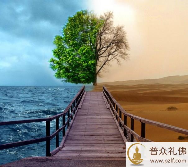 人生一半一半，要懂得包容不完美