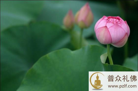 「怕死」的人,有六个好处