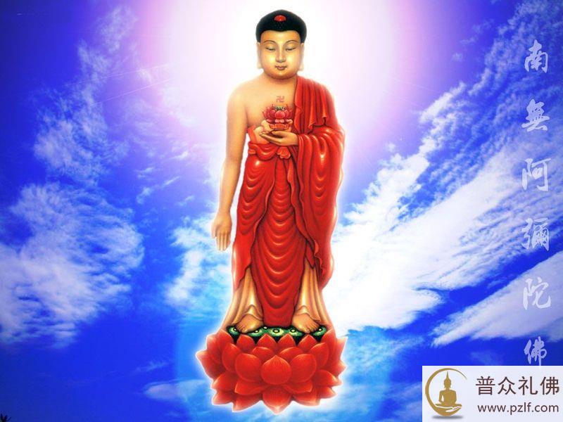 善导大师:阿弥陀佛四十八愿,一一皆有念佛往生意