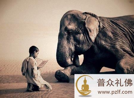 从事餐饮行业造杀业的人如何转行