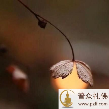 人命如水泡,看起来很美但非常脆弱