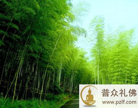 不同思维,决定了不同的人生