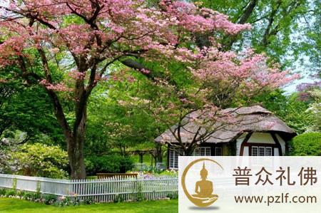 九句实在话,须记住