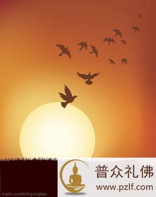 夏坝仁波切:为什么要学佛(五)