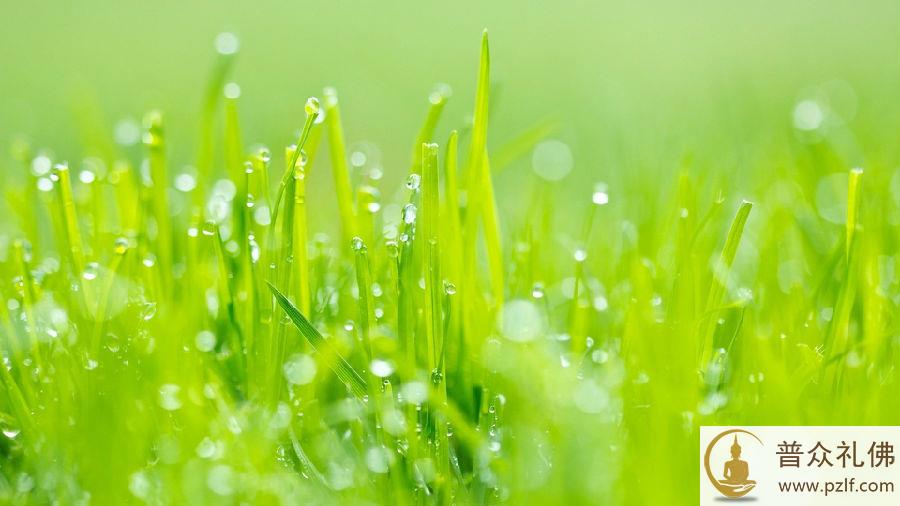 t015c68464ffaca212a.jpg 大德故事:不变应万变