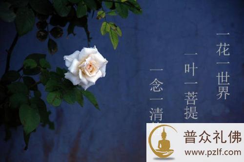 受到了伤害遭受痛苦,也是有大利益的