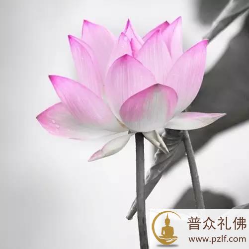 假饶造罪过山岳,不须妙法两三行