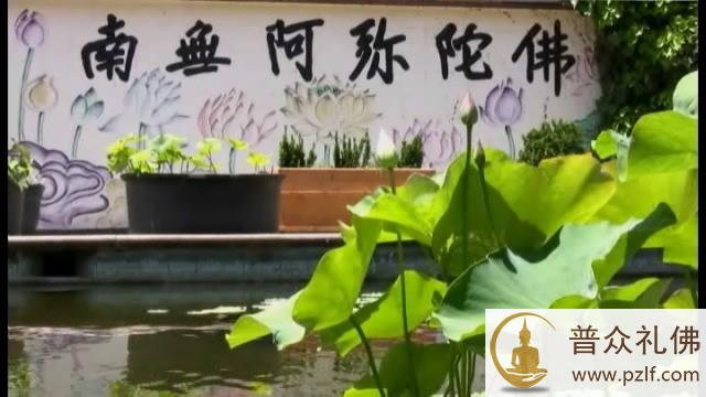 不信佛念佛,自恃聪明者可悲