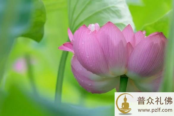 善用其心,则获一切胜妙功德