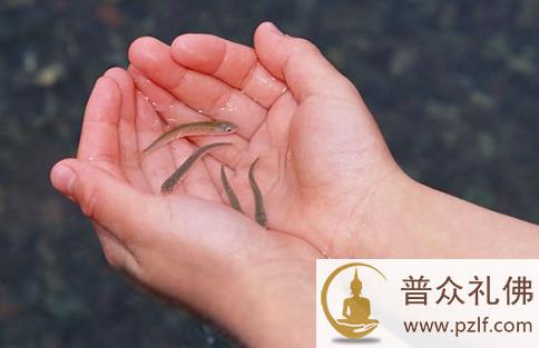 为救短命儿,借钱大放生 \