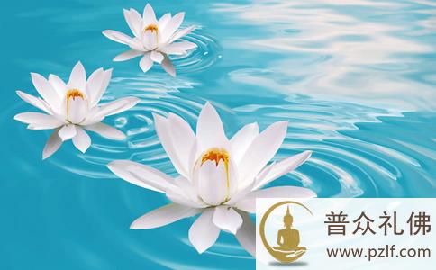 不如法的放生危害很大 \