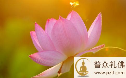 做到四点能让父母亲眷健康长寿 \