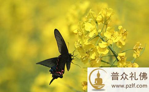 一句话改变了生命 \