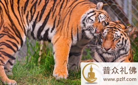 人要慎思,做到是非止于智者 \