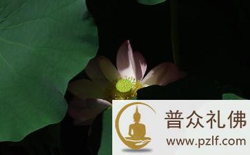 保持优雅是一种心态 保持优雅是一种心态