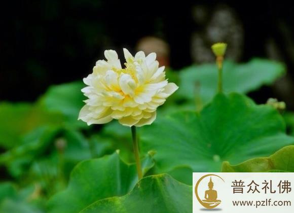 一诚长老：出去走一走，才知道有没有定力