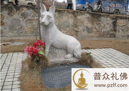 义犬尝毒救30多人，人们为狗立碑塑像！