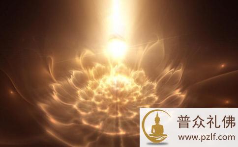 “莲花”象征着什么？莲花与佛教的关系