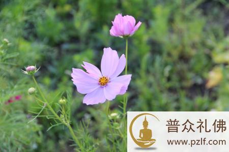 只要心中有佛,人人皆可自度 只要心中有佛,人人皆可自度