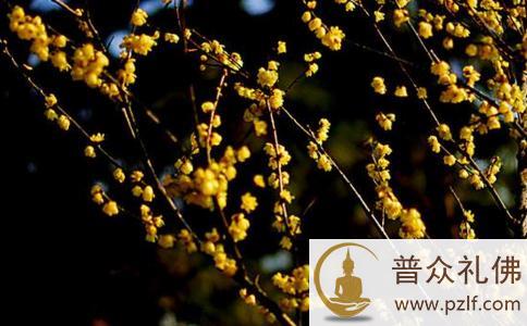 又一尊肉身菩萨示现 又一尊肉身菩萨示现