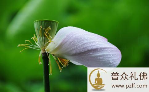 一位80后女性的忏悔自白 一位80后女性的忏悔自白