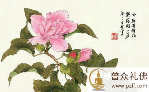 【禅诗赏析】朝开暮落关何事 只要人知色是空 【禅诗赏析】朝开暮落关何事 只要人知色是空