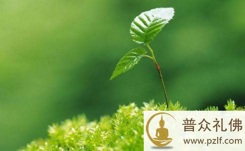 善有善报恶有恶报 时辰一到立刻就报 善有善报恶有恶报 时辰一到立刻就报