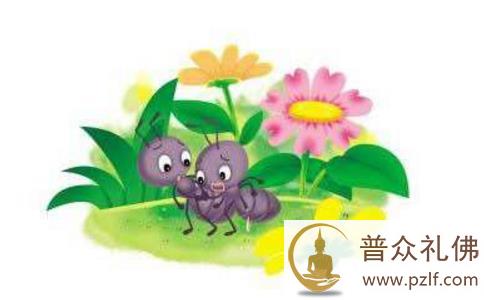 两只蚂蚁爬向自由的故事