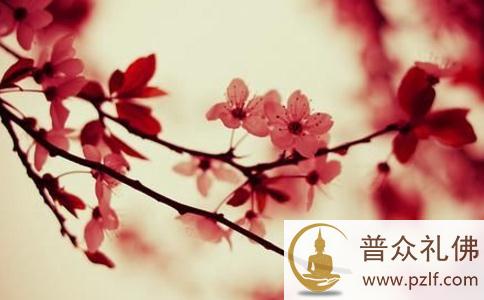 一位佛友谈意淫的果报 一位佛友谈意淫的果报