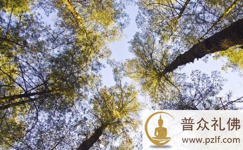 不以恶小而为之 恶行不会有善报