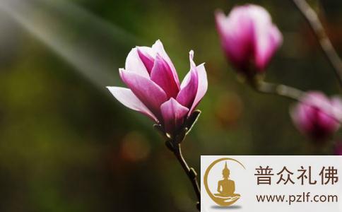 佛法是在生活中修行,在修行中生活 佛法是在生活中修行,在修行中生活