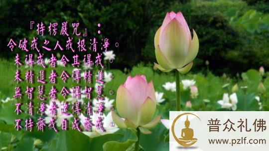 一切法正,一切法邪