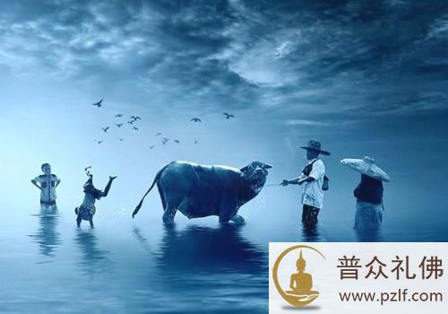 从球赛中可以学到许多做人的修养