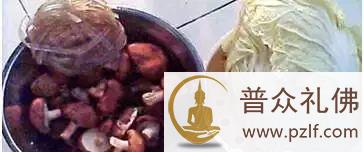 九种素饺子的做法