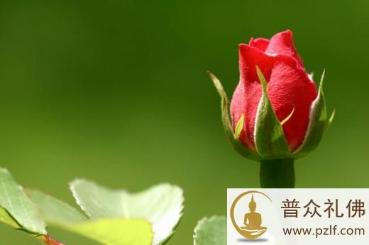 「拙」一点,人生就会比较平安顺利