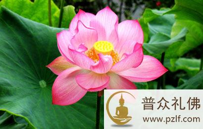 一直善良下去,总会离幸福更近