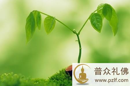 不变随缘,随缘不变