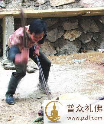 历经炼狱它们何辜?餐盘里盛满无尽血泪!