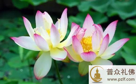 以和气迎人,以静气养身