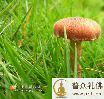 你真的很自由吗?