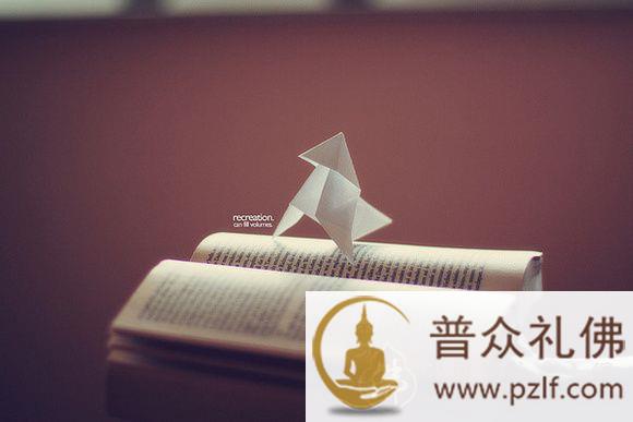 只要是自己选择的,结果不会太坏.jpg
