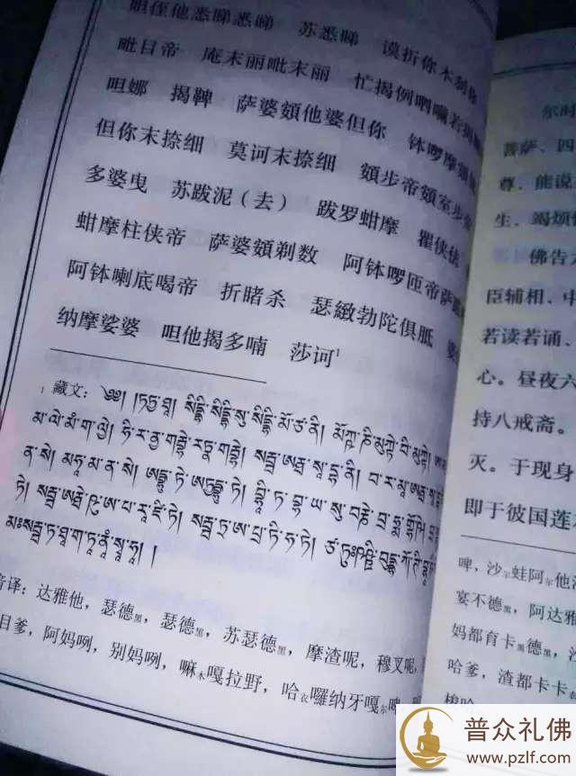 义清法师:索堪布讲《药师经》增加藏咒,再贬汉传!